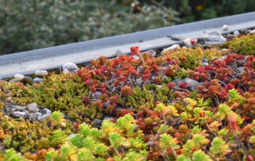 the cost of Widemouth Bay green roof installation