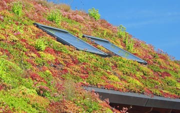 Widemouth Bay living roof systems